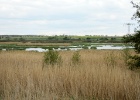 IMG 0071