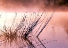 20100505