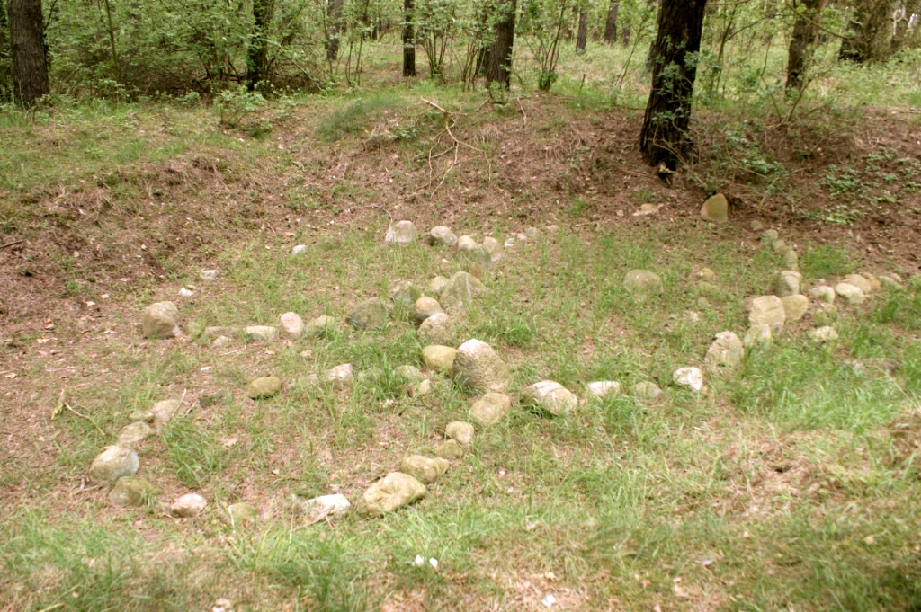 DSC04979