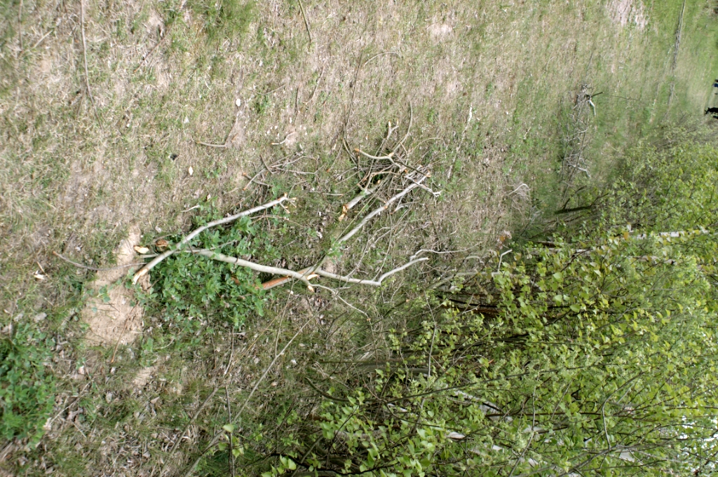 DSC04985