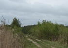 DSC04987