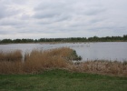 IMG 0084