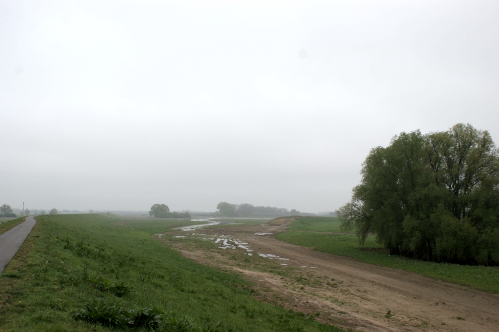 DSC05004