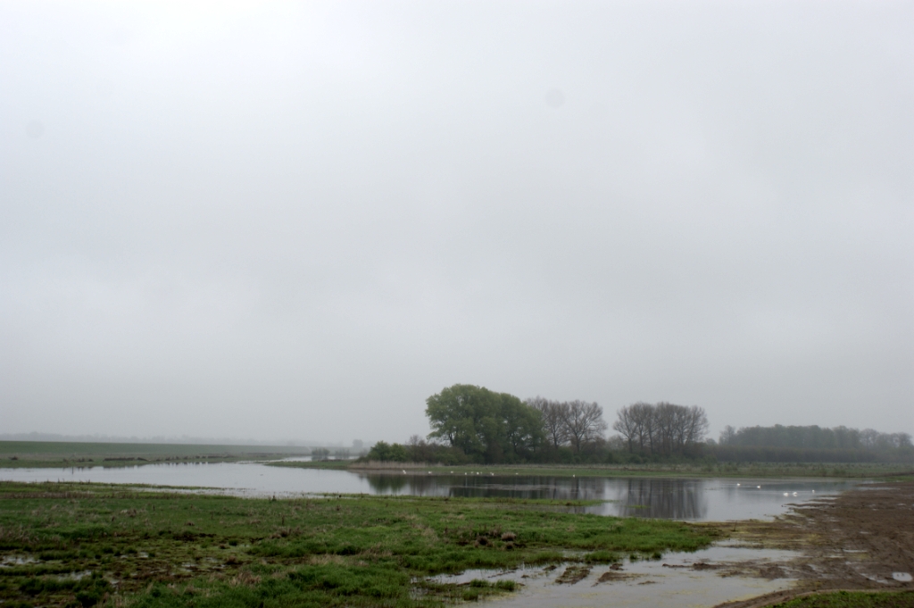 DSC05012