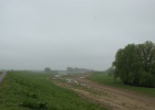 DSC05004