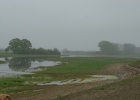 DSC05009