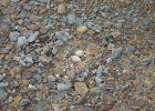 DSC05010