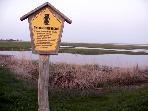 P1120346