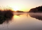 Onbekend