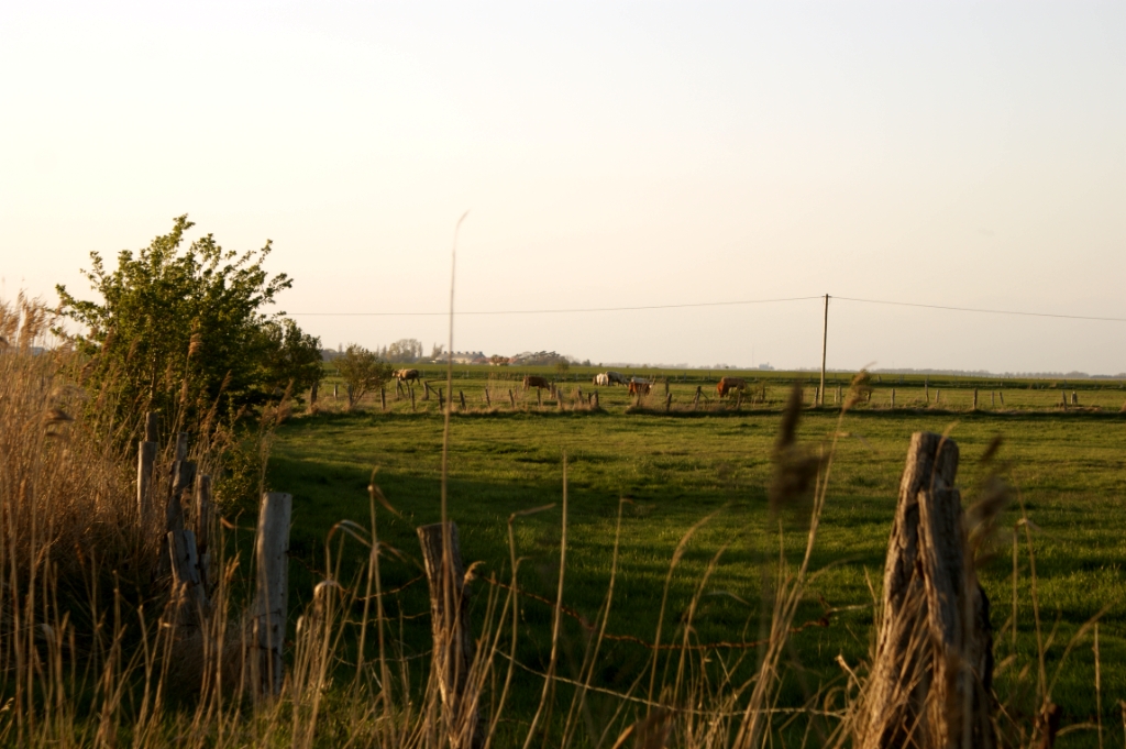 DSC04852