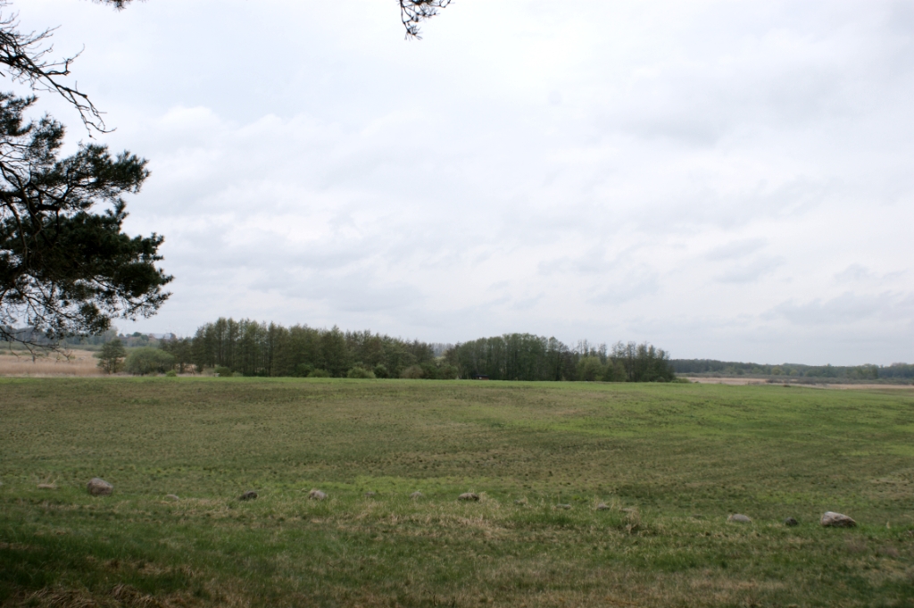 DSC04981