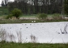 Wouter Bodegom
