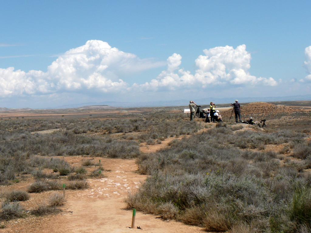El Planerón
