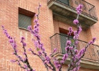 Alcolea de Cinca   B. van Eijk