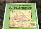 El Planerón   B. van Eijk