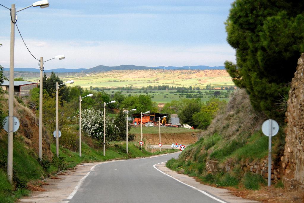 DSC 6950