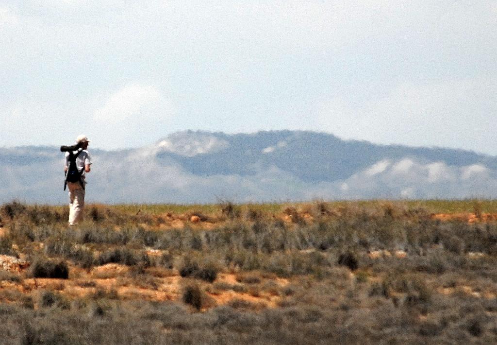 El Planerón