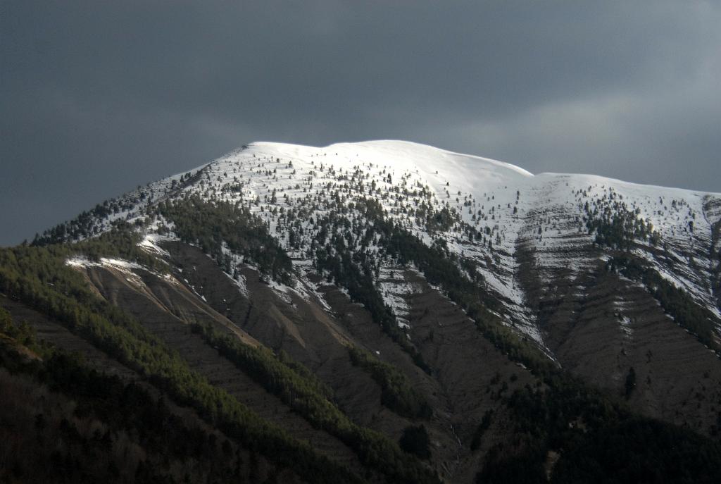 DSC 7250