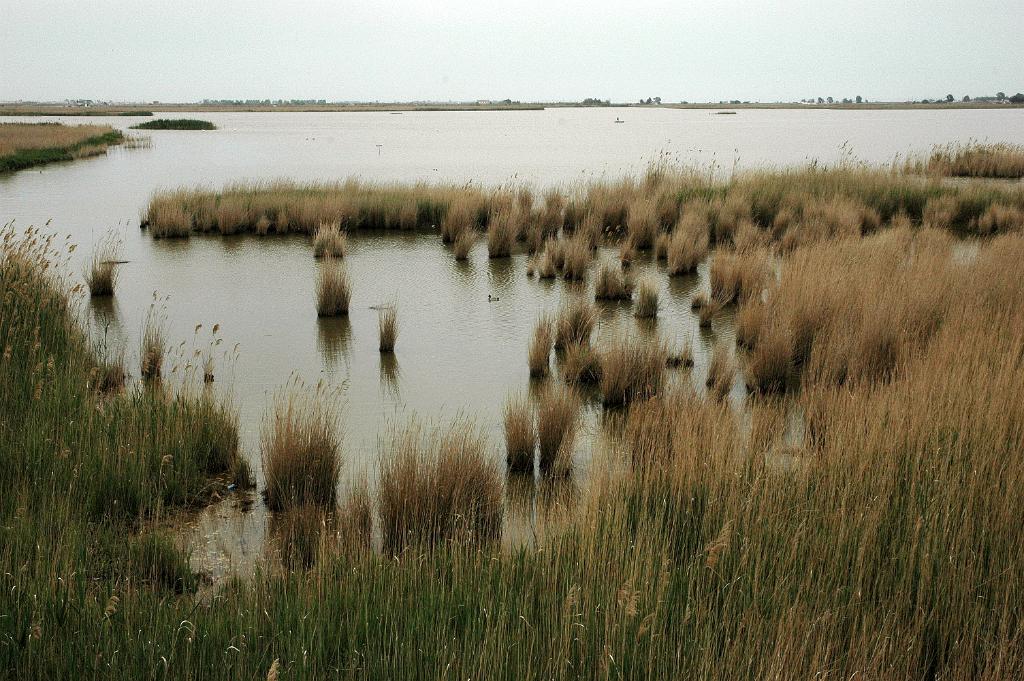 DSC 9567