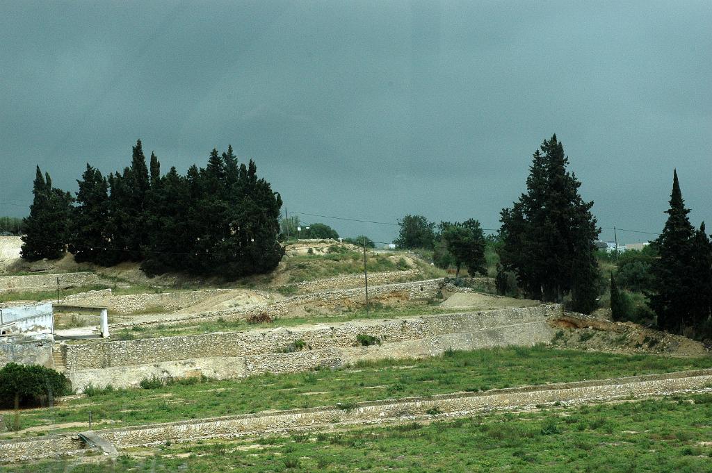 DSC 9604