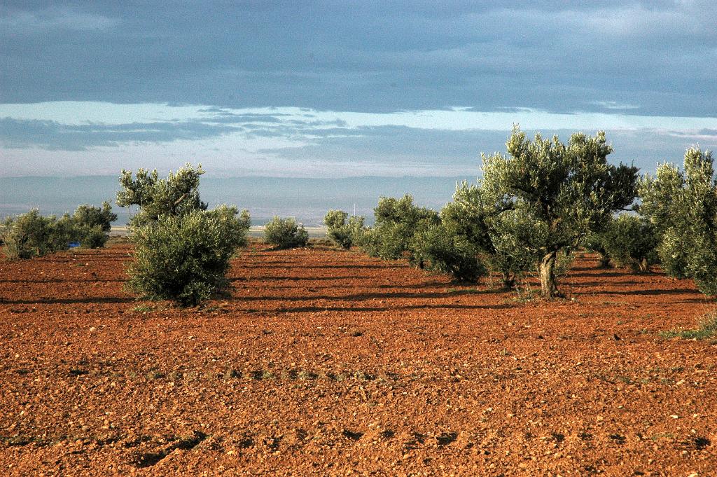 Alcolea de Cinca