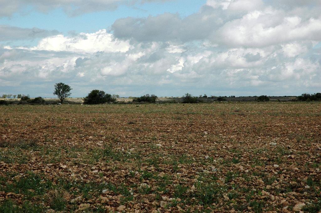 DSC 9652