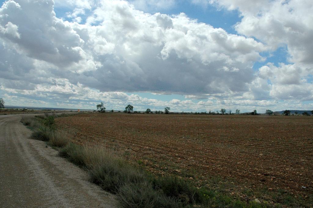DSC 9656