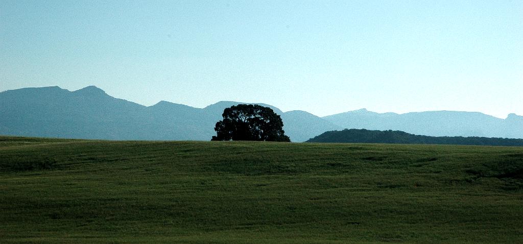 DSC 9787