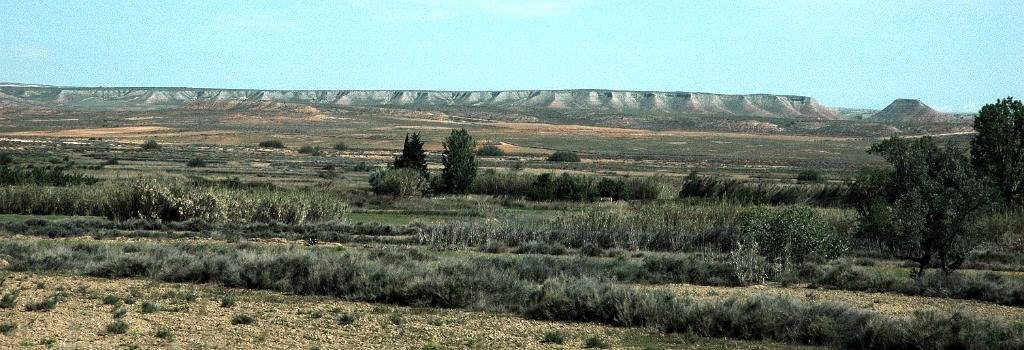 El Planerón