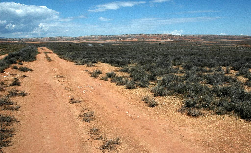 El Planerón