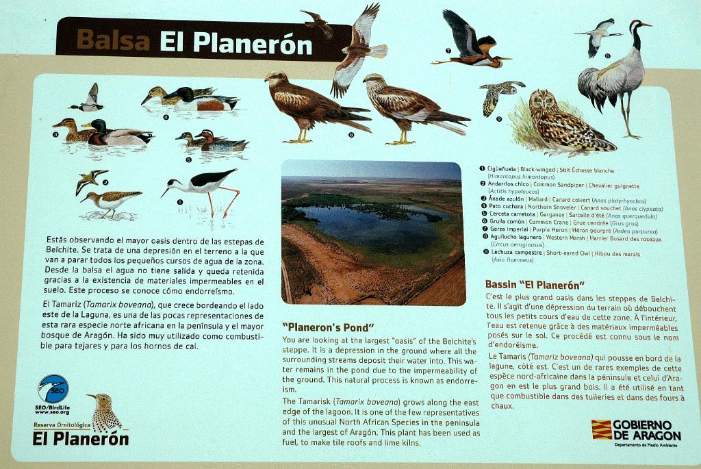 El Planerón