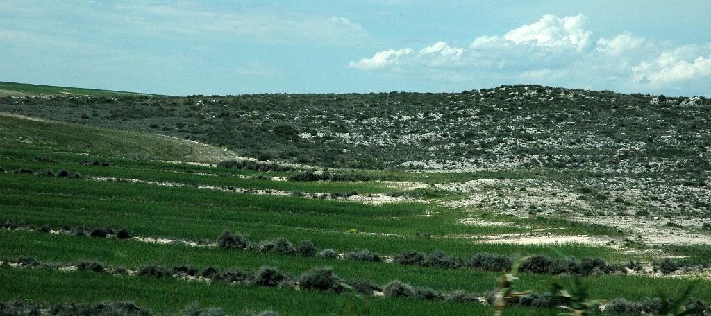 El Planerón