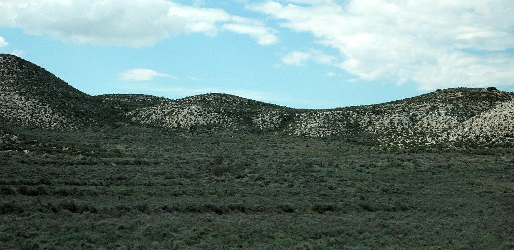 El Planerón