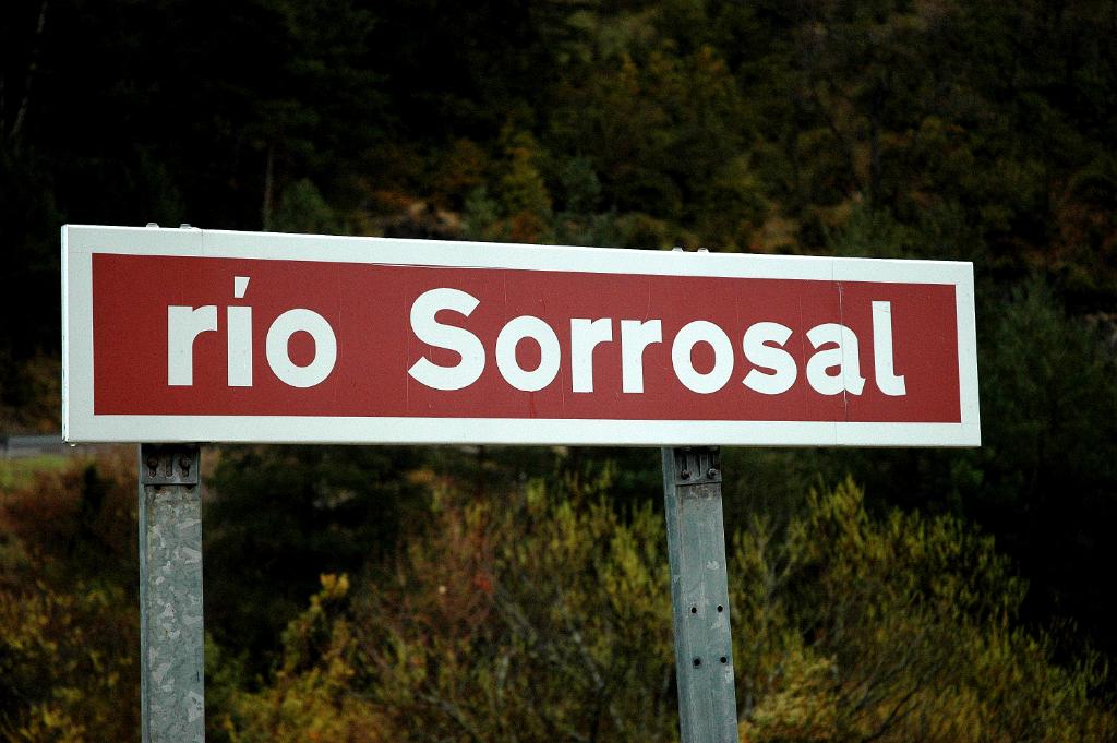 Río Sorrosal