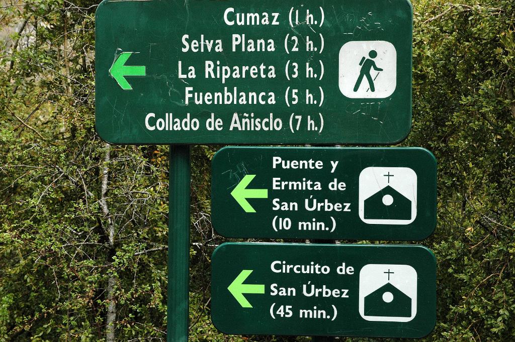 Añisclo