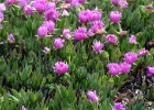 J.Hoogeveen