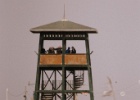 Migjorn i l'illa de Buda   J.Hoogeveen