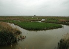 J.Hoogeveen