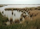 J.Hoogeveen