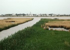 J.Hoogeveen