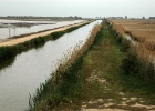 J.Hoogeveen