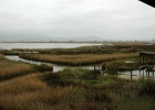 J.Hoogeveen