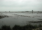 Poble Nou   J.Hoogeveen