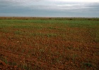 Alcolea de Cinca   J.Hoogeveen
