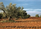 Alcolea de Cinca   J.Hoogeveen