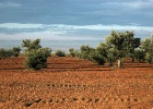 Alcolea de Cinca   J.Hoogeveen