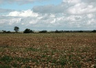 J.Hoogeveen