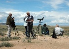 Wouter, Ton, Cor en Frans   J.Hoogeveen