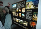 Ans   J.Hoogeveen