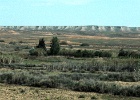 El Planerón   J.Hoogeveen